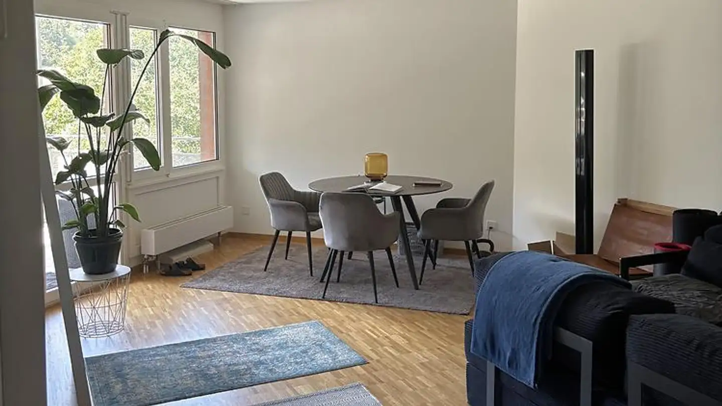 Furnished apartment for rent - 6333 Hünenberg See