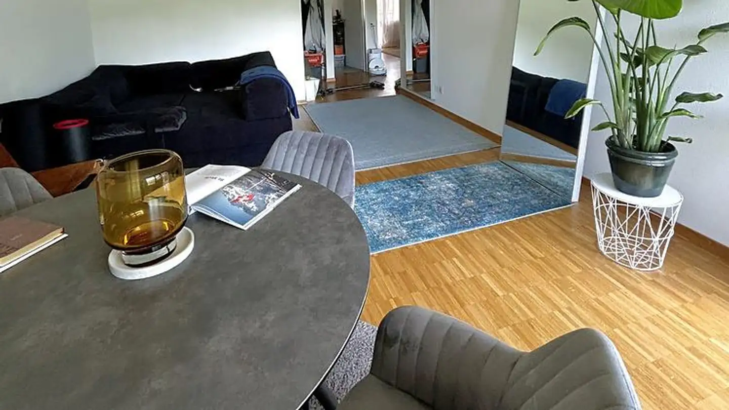 Furnished apartment for rent - 6333 Hünenberg See - Photo 2