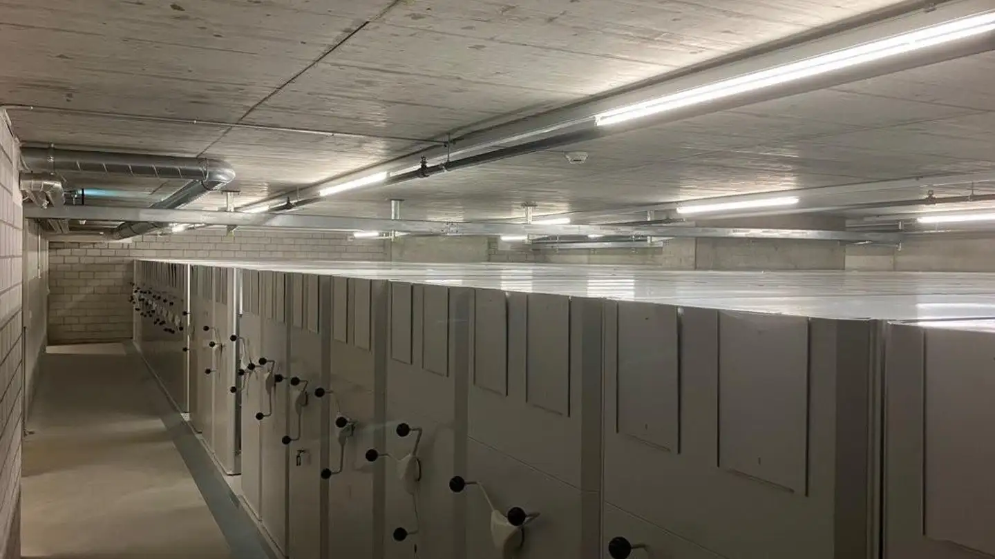 Lagerraum mieten - Schärenmoosstrasse 99, 8052 Zürich