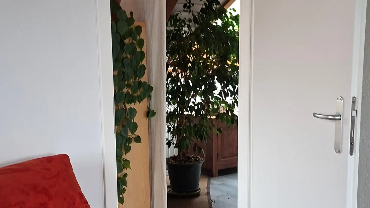 Shop for rent - Grand-Rue 64, 2054 Chézard-St-Martin - Photo 3