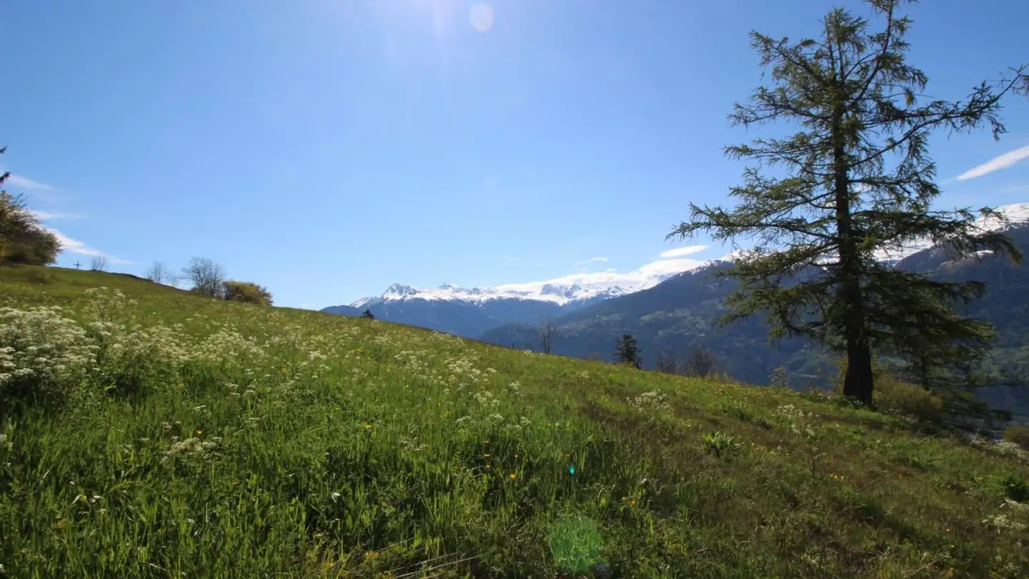 Chalet in vendita - Route De Crans-Montana, 3963 Montana - Foto 2