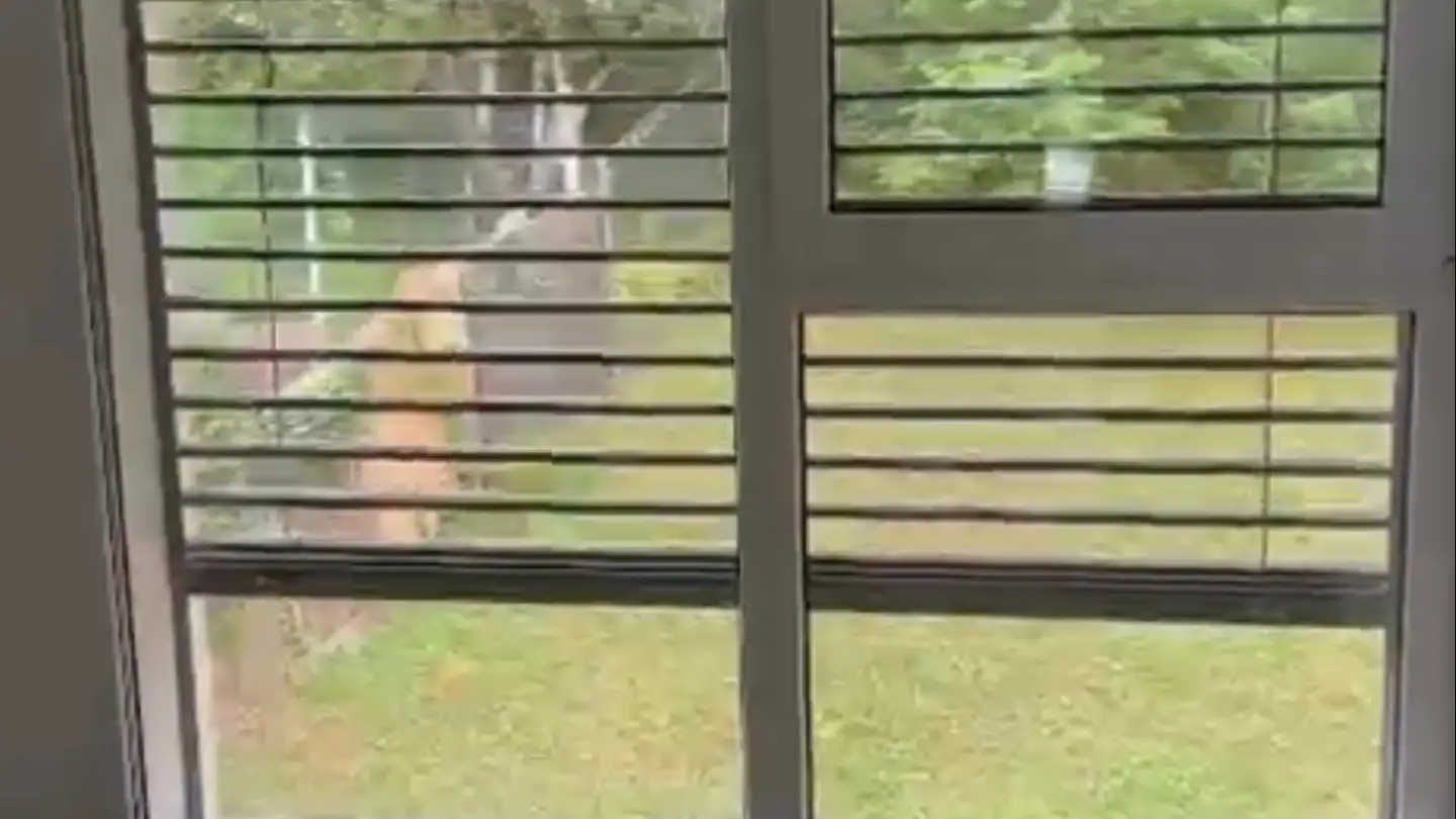 Appartamento in affitto - 6600 Muralto - Foto 3