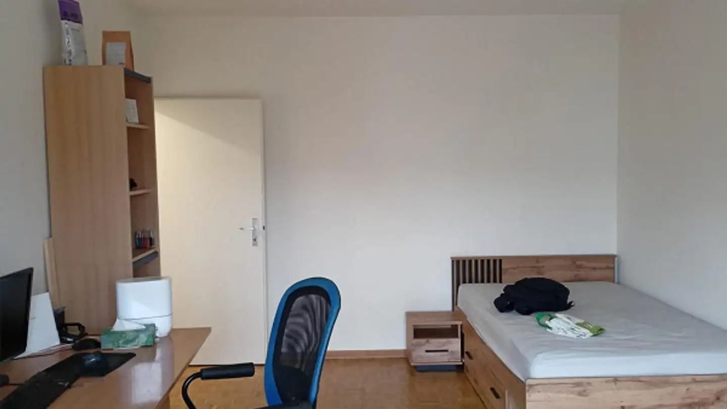 Appartamento in affitto - Rue Peillonnex 18, 1225 Chêne-Bourg