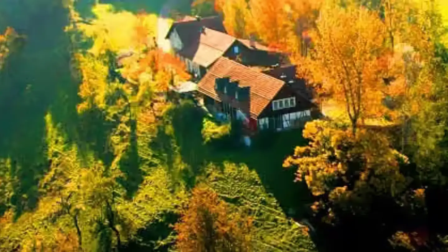 Bauernhof mieten - Schaugentobelstrasse 61, 9037 Speicherschwendi
