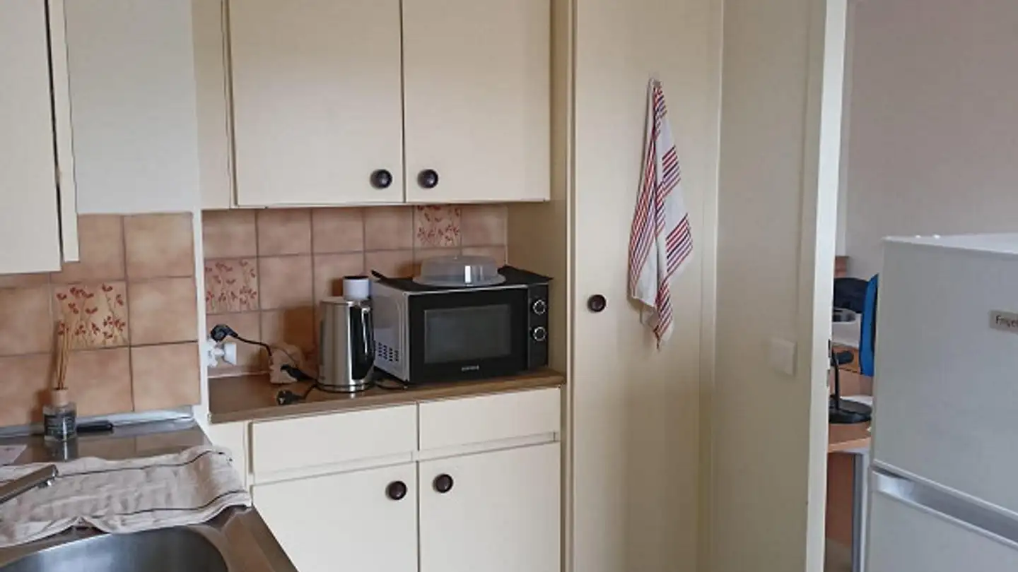 Appartamento in affitto - Rue Peillonnex 18, 1225 Chêne-Bourg - Foto 2