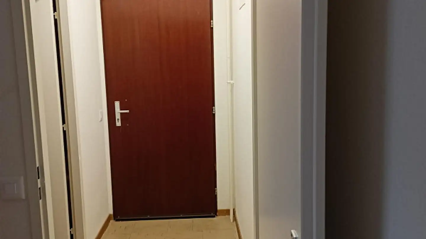 Appartamento in affitto - Rue Peillonnex 18, 1225 Chêne-Bourg - Foto 3