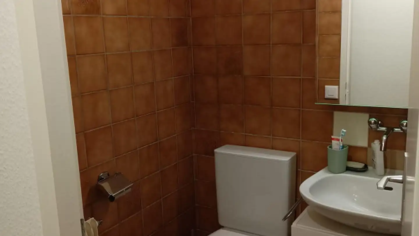 Appartamento in affitto - Rue Peillonnex 18, 1225 Chêne-Bourg - Foto 4