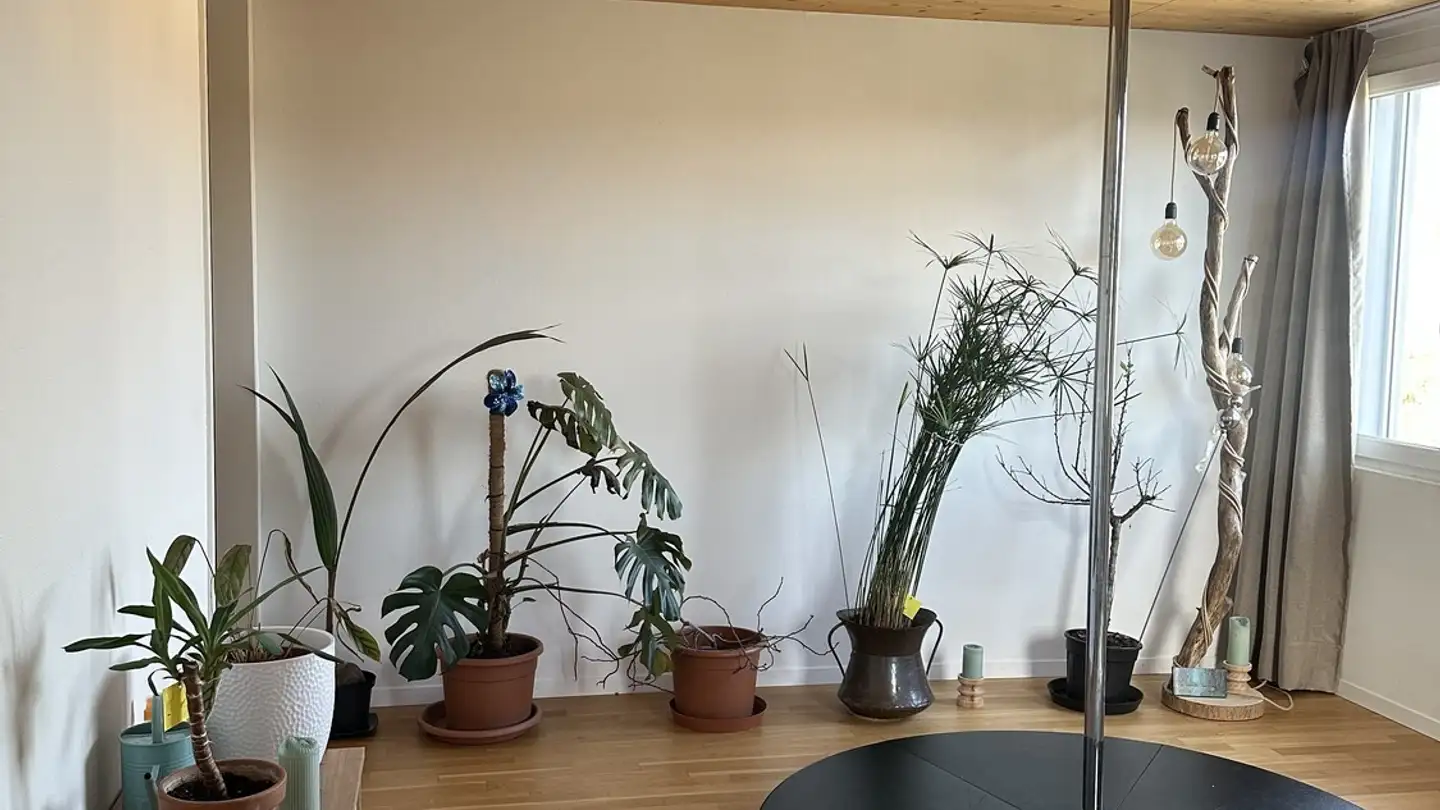 Apartment for rent - 8610 Uster - Photo 4