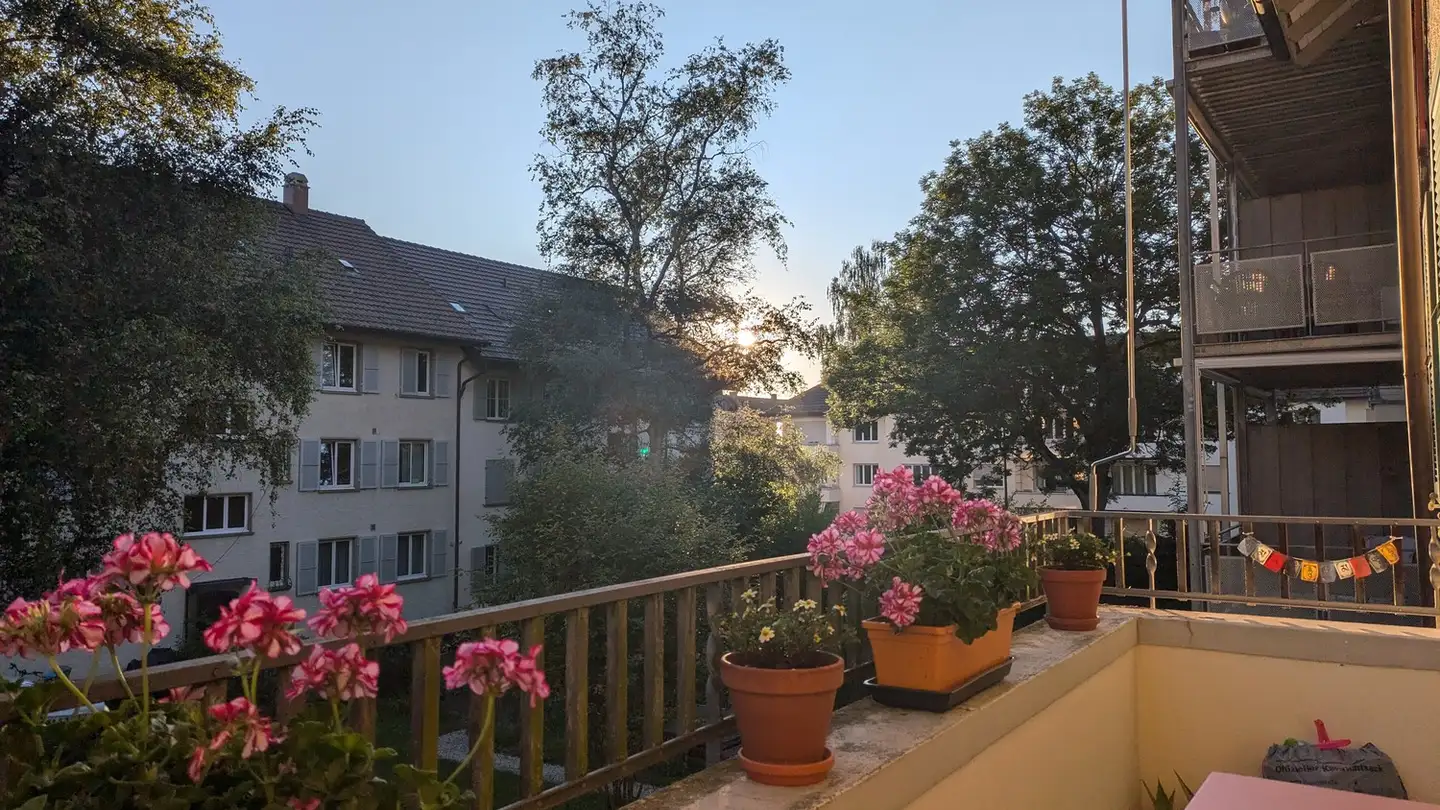 Apartment for rent - 3097 Liebefeld - Photo 4