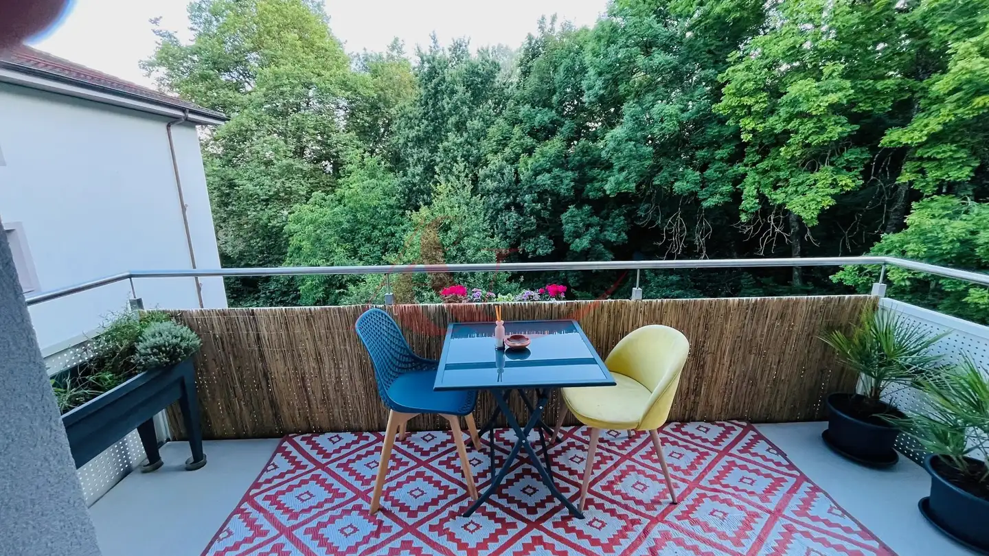 Appartamento in affitto - Chemin De Champ-Rond 15, 1010 Lausanne