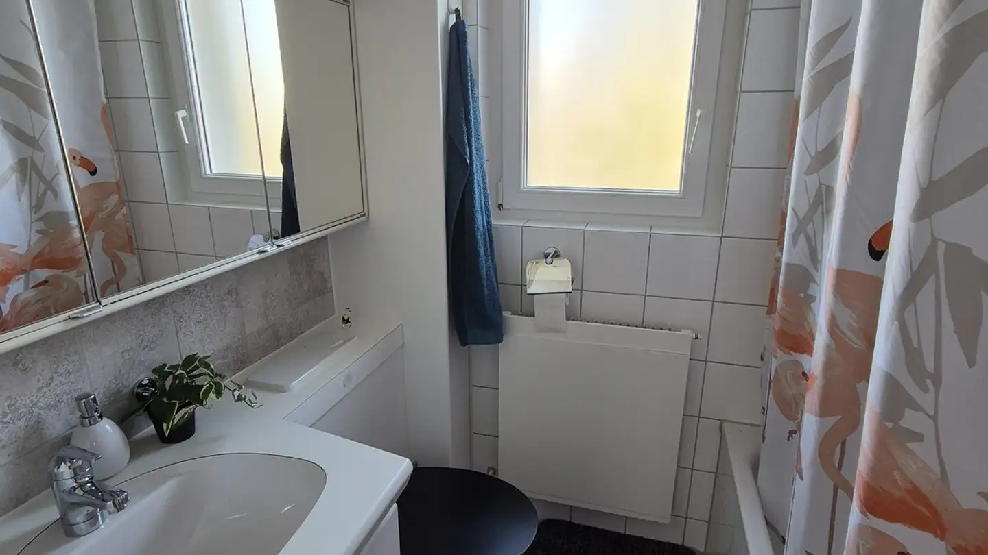 Single room for rent - 6005 Luzern - Photo 4