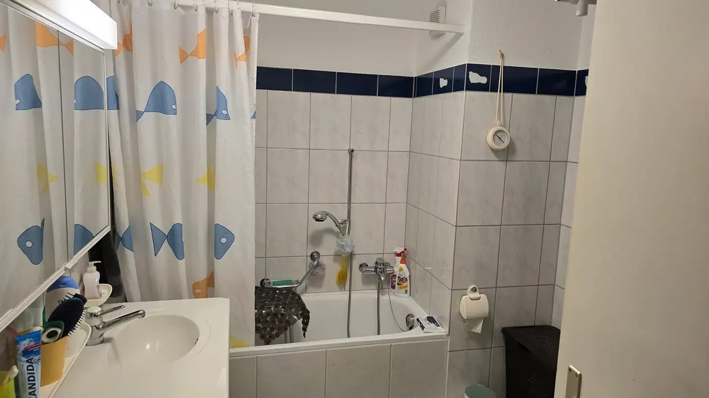 Casa a schiera in vendita - Alte Sulzbacherstrasse 4, 8610 Uster - Foto 4