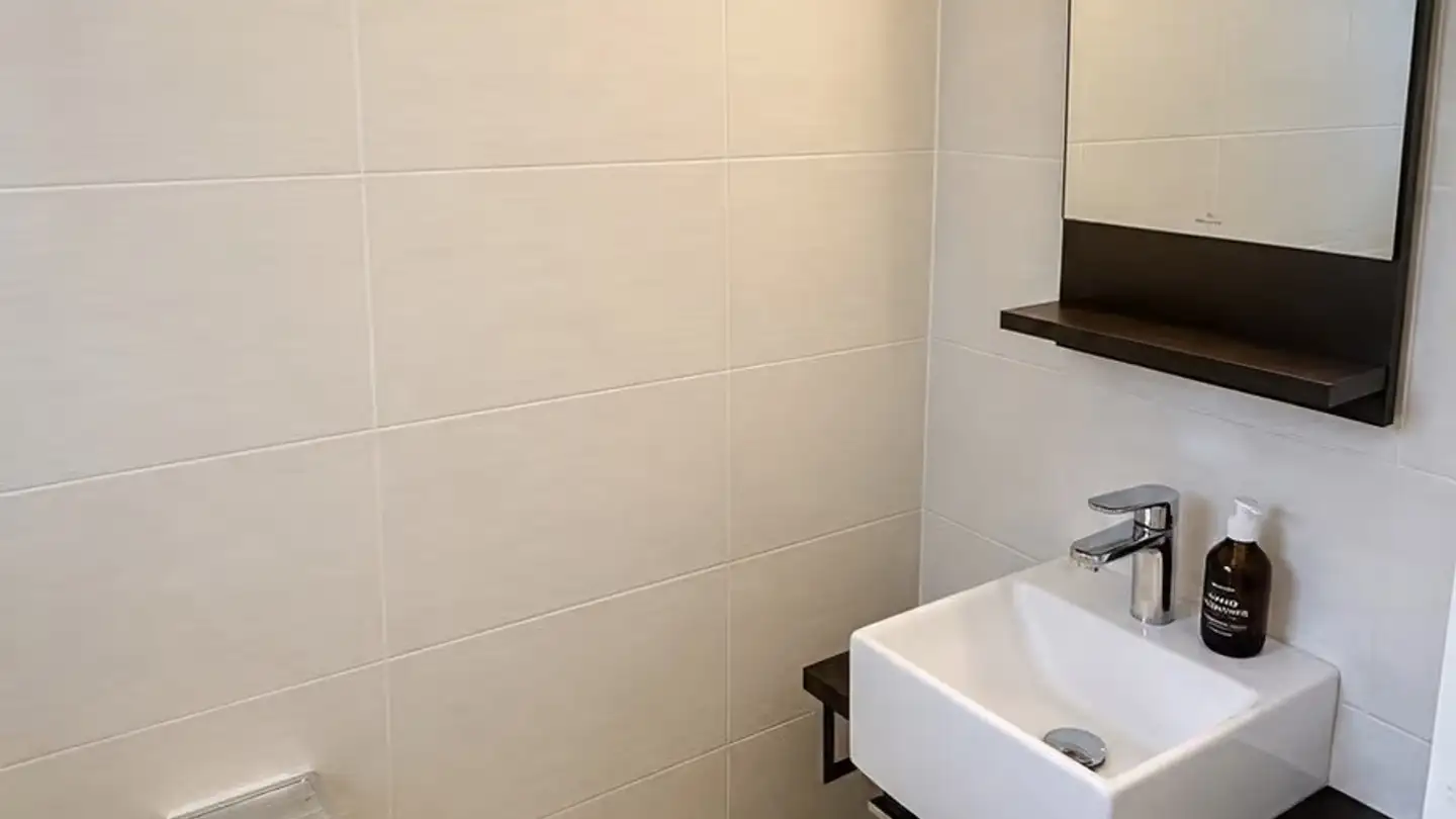 Casa bifamiliare in vendita - Baselstrasse, 4132 Muttenz - Foto 4