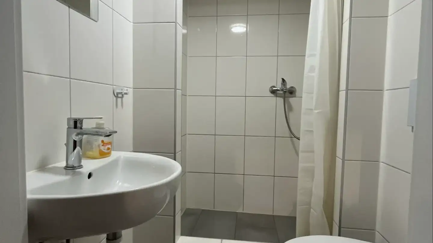 Single room for rent - Bremgarterstrasse 36, 5622 Waltenschwil - Photo 3