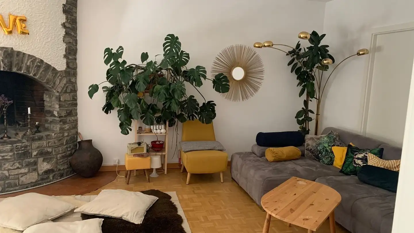 Single room for rent - Chemin De L' Impératrice, 1292 Chambésy