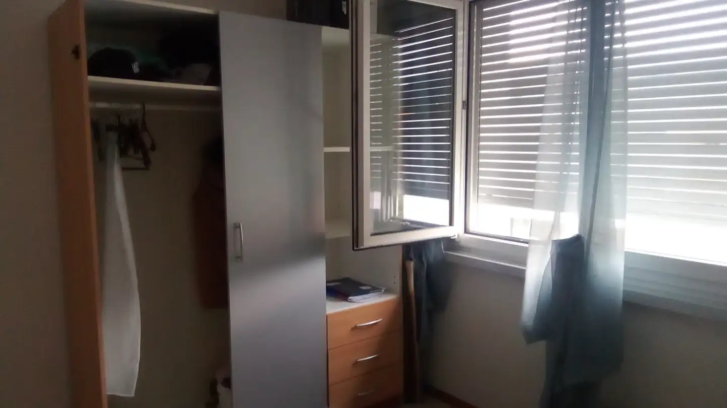 Chambre à louer - Sindelenstrasse, 8340 Hinwil - Photo 3