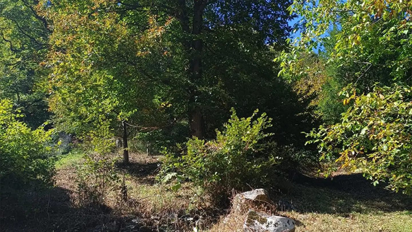 Terreno edificabile in vendita - 6562 Soazza - Photo 2