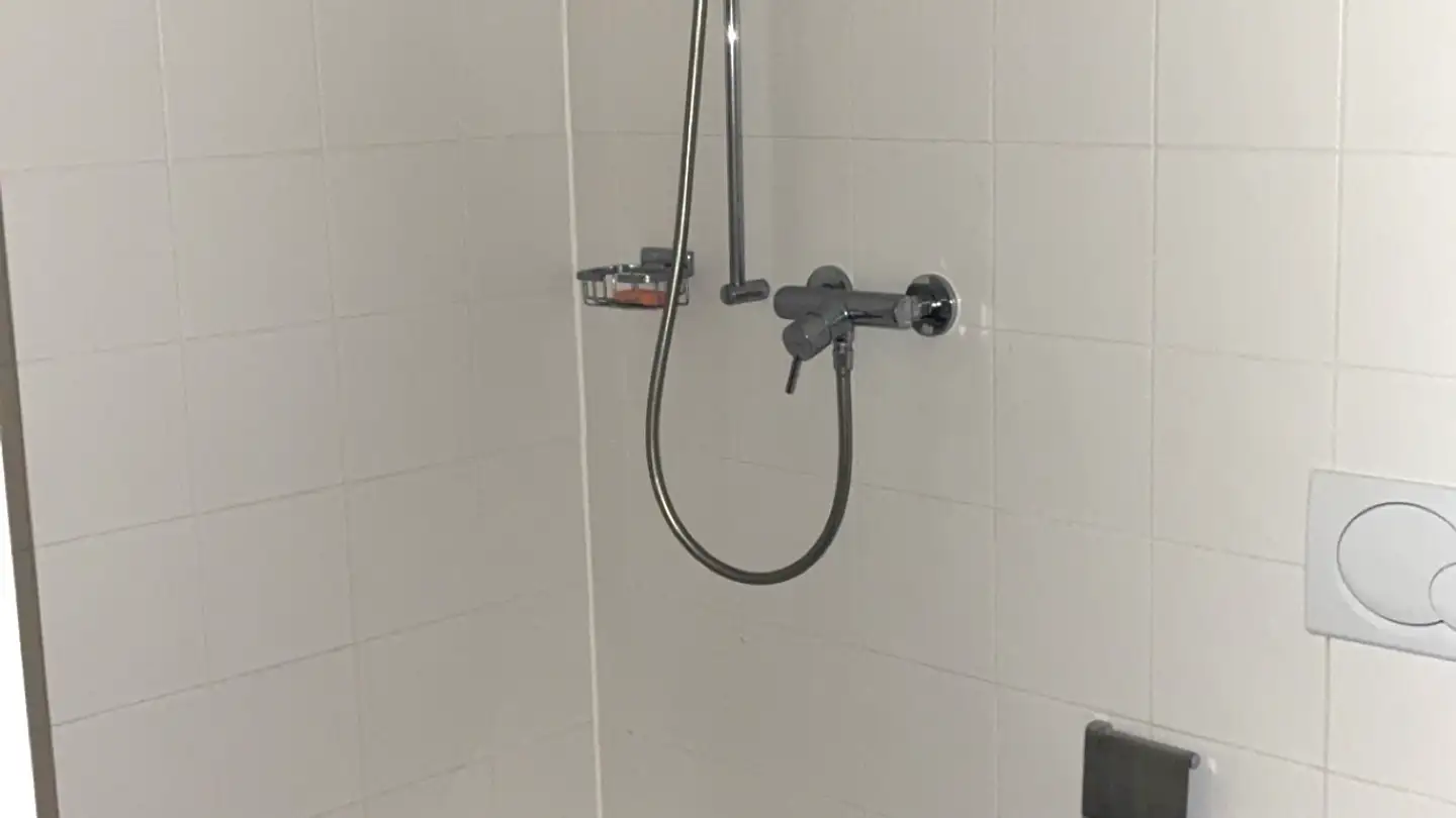 Appartement à louer - Rue Du Grand-Pré 70c, 1202 Genève - Photo 4