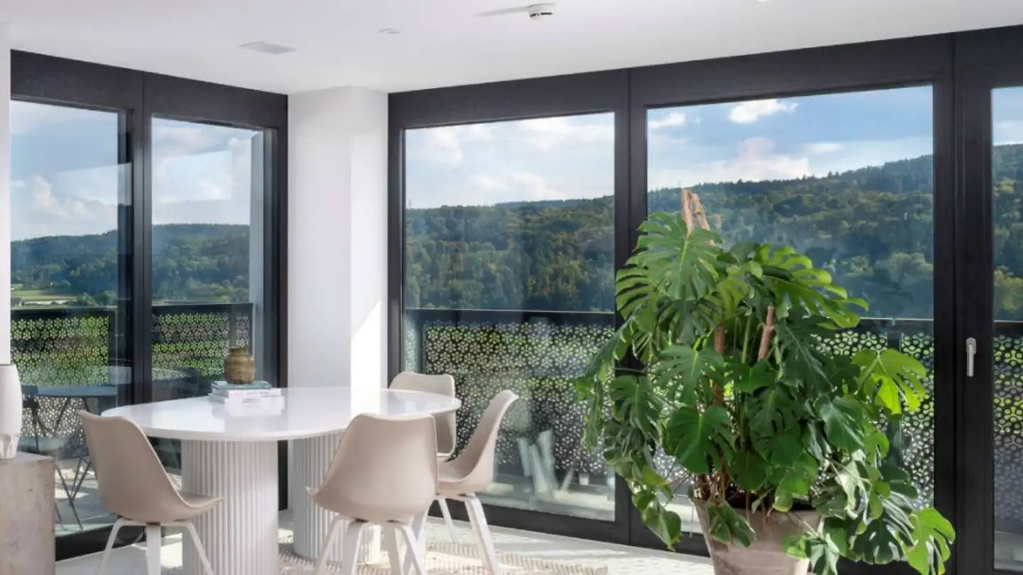 Appartamento in affitto - 8600 Dübendorf
