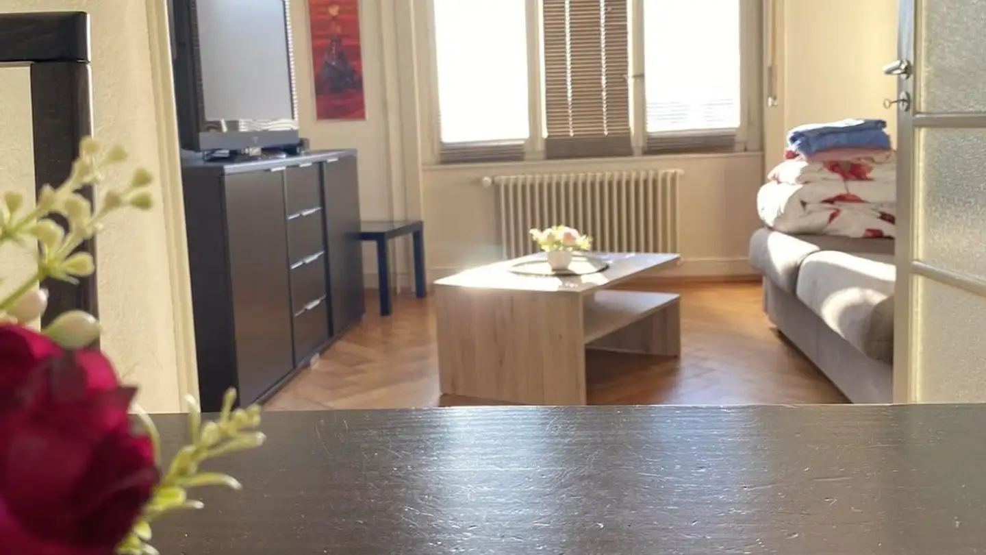 Möblierte Wohnung mieten - Rue Couchirard 21, 1004 Lausanne - Foto 3