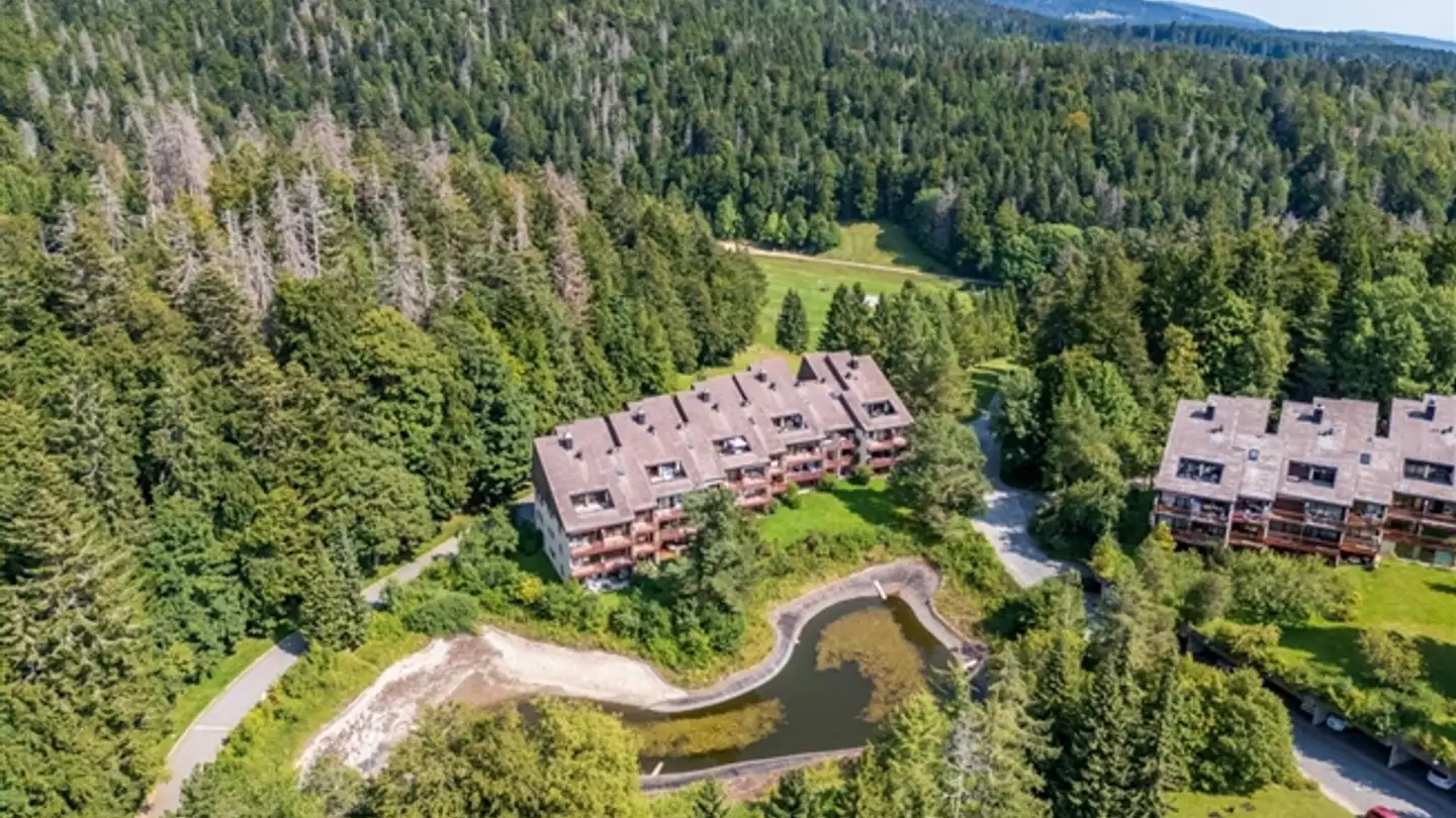 Appartement à vendre - Route Des Cheseaux-Dessus, 1264 St-Cergue - Photo 4