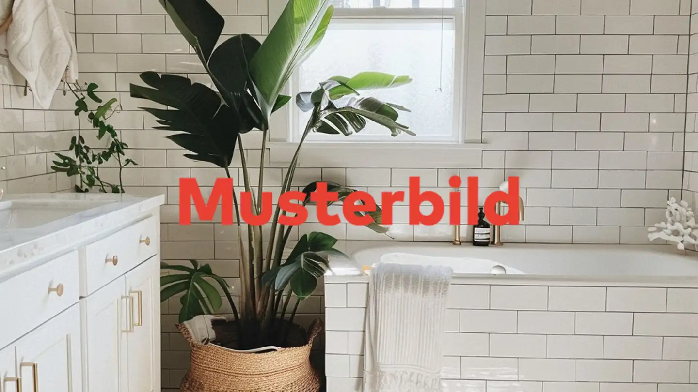 Appartamento in affitto - 6102 Malters