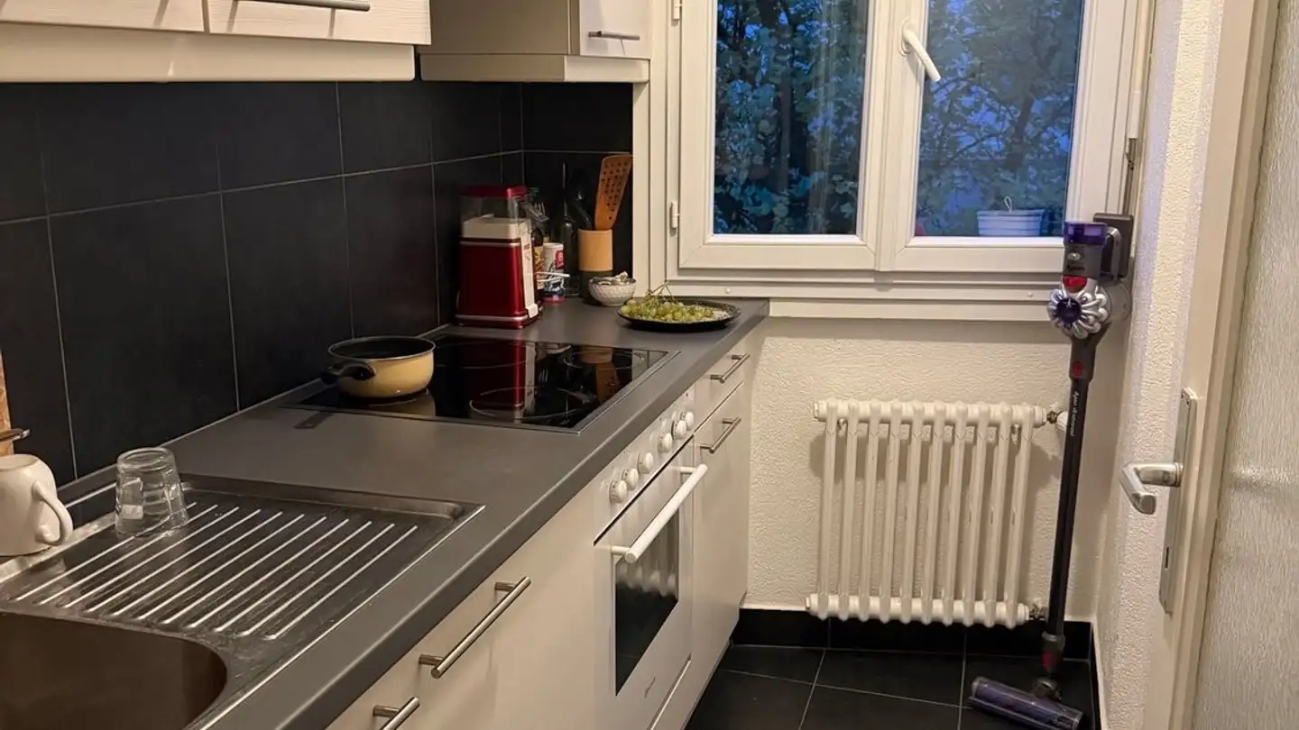 Appartamento in affitto - Avenue De France, 1004 Lausanne