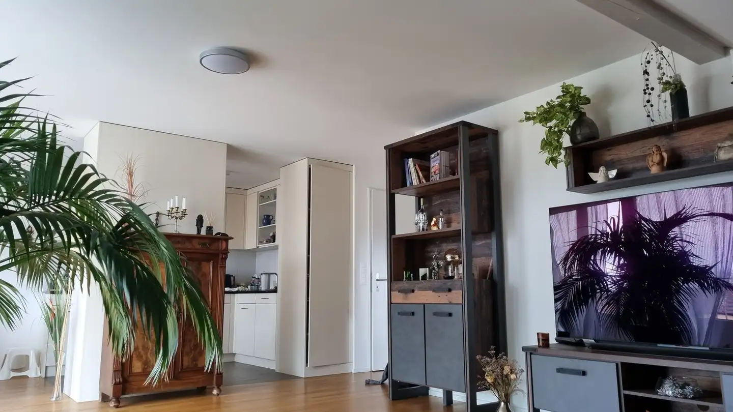 Wohnung mieten - Maiholzstrasse 19, 8500 Frauenfeld