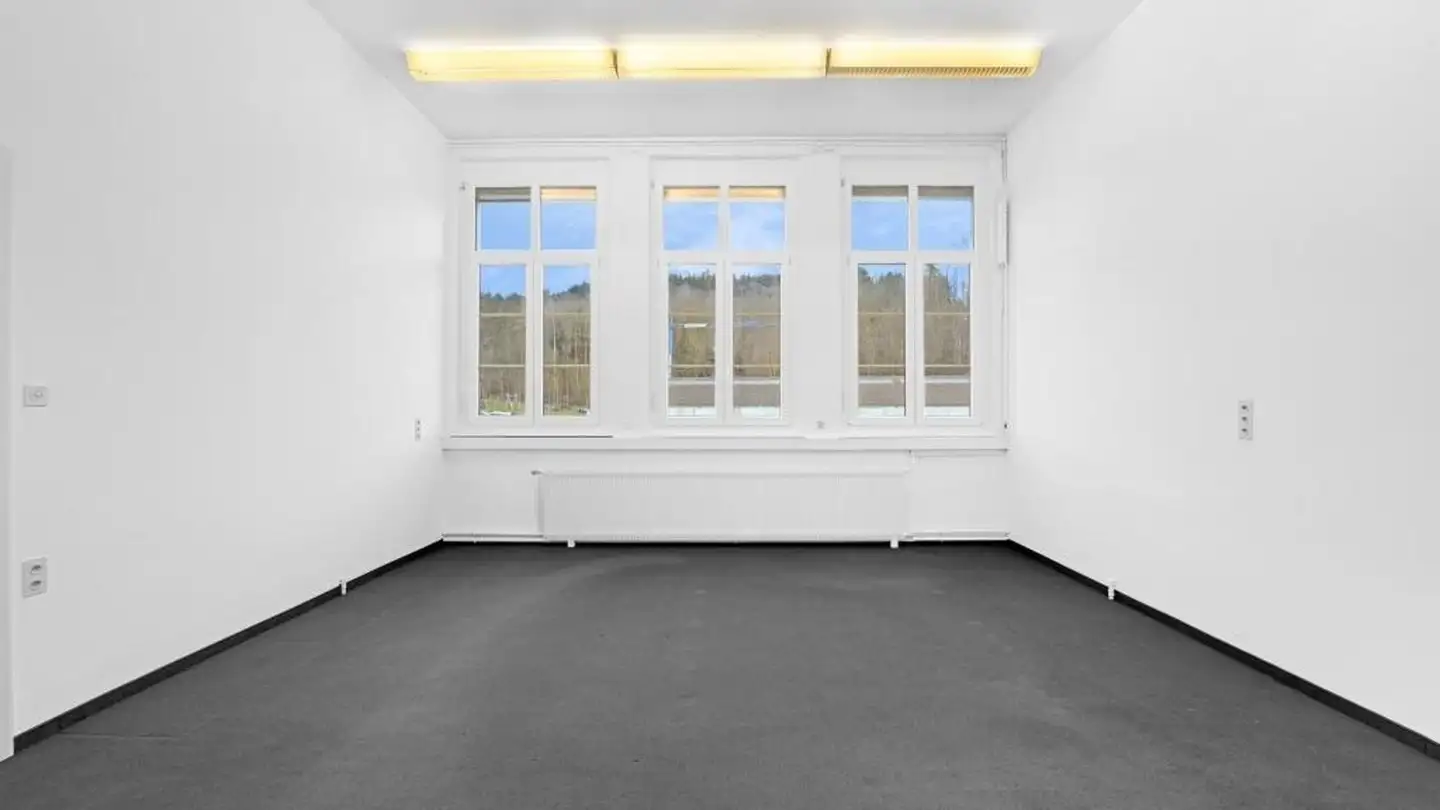 Office space for rent - Industriestrasse 6, 9220 Bischofszell