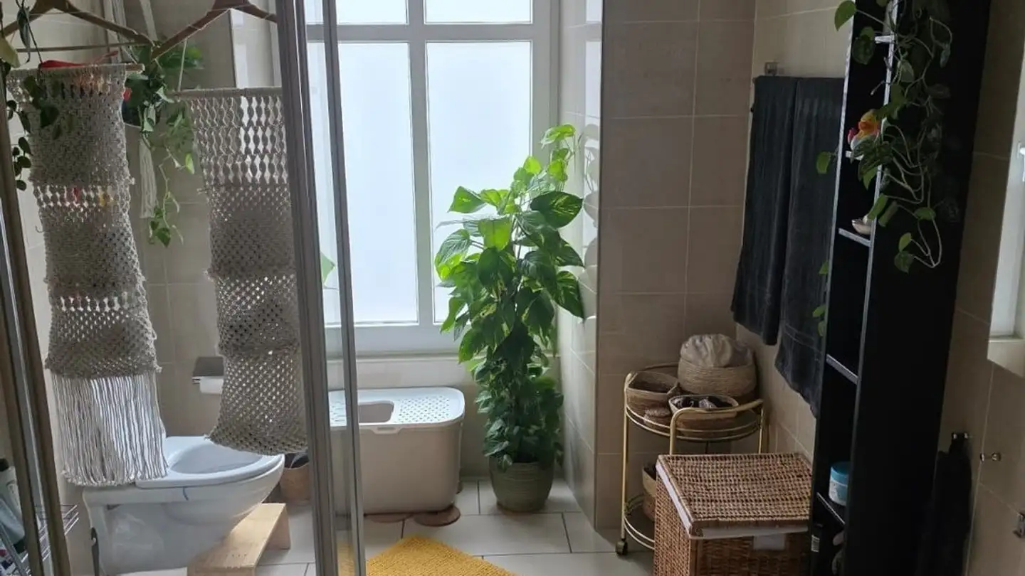 Appartamento in affitto - Ziegelfeldstrasse 7, 4600 Olten - Foto 3