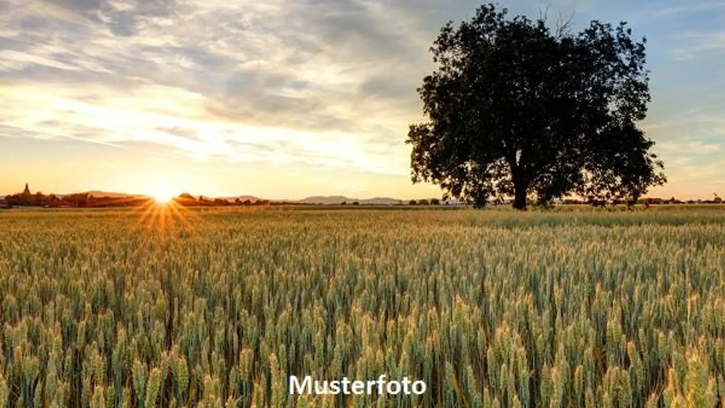 Immobilie kaufen - Chemin De Chalamont, 1434 Ependes VD