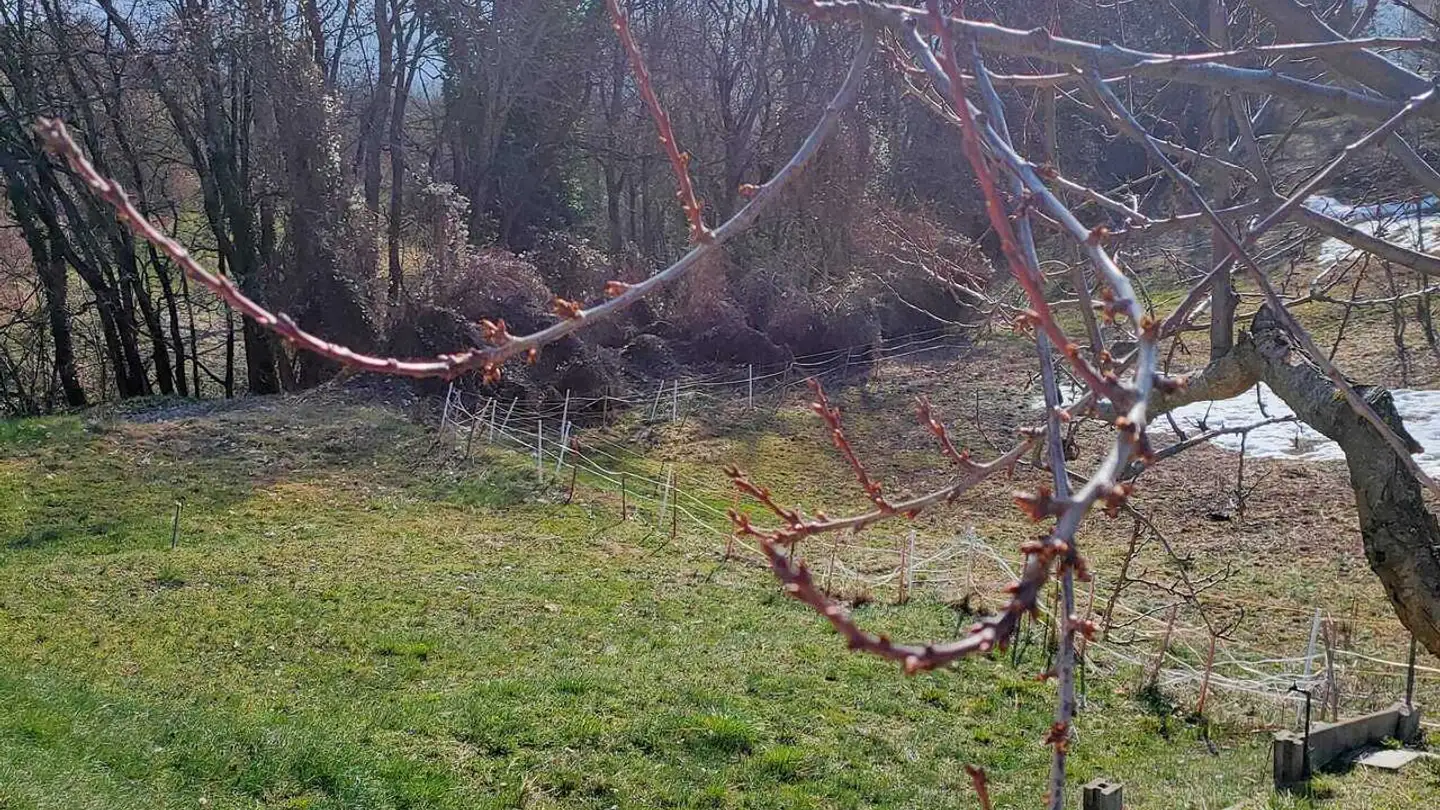 Terrain constructible à vendre - Chemin De Ley De Diogne, 3971 Chermignon - Photo 2