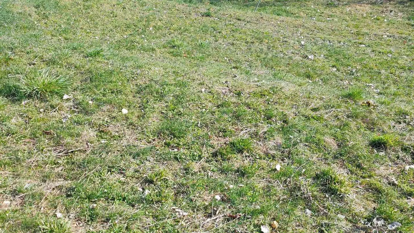 Terrain constructible à vendre - Chemin De Ley De Diogne, 3971 Chermignon - Photo 3