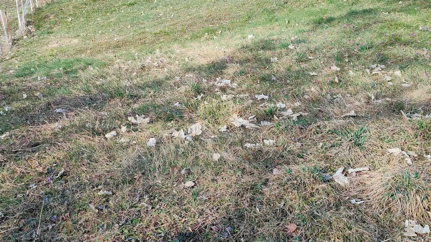 Terrain constructible à vendre - Chemin De Ley De Diogne, 3971 Chermignon - Photo 4