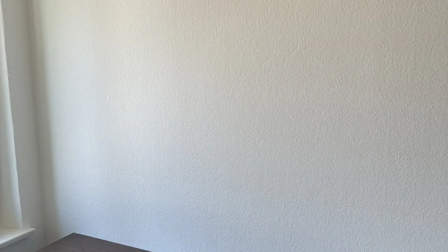 Single room for rent - Langwiesenstrasse 14, 8408 Winterthur - Photo 4