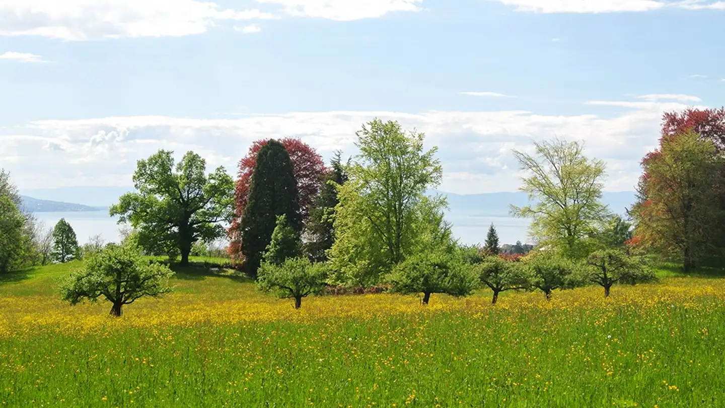 Single house for sale - 1807 Blonay