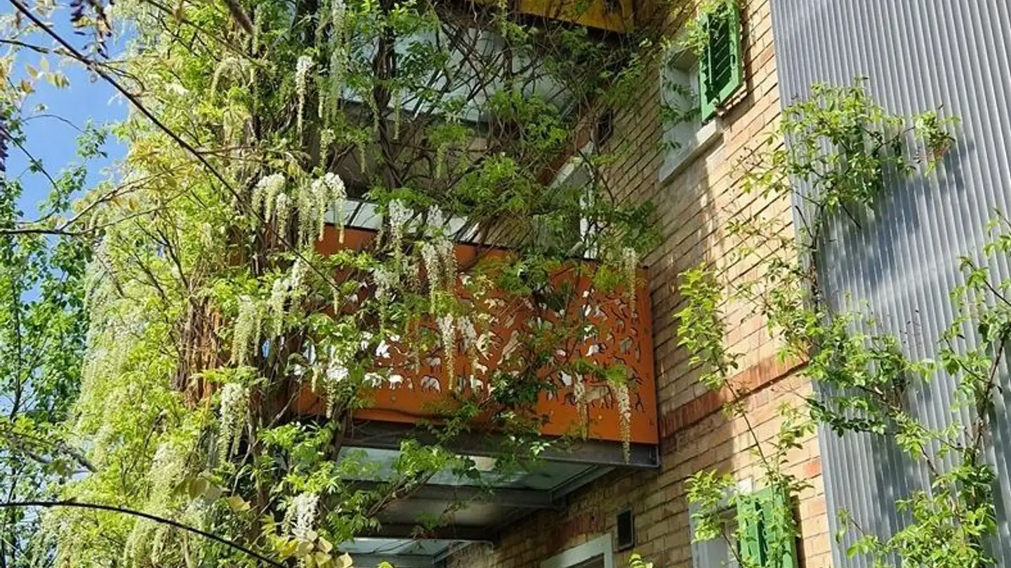 Apartment for rent - 8406 Winterthur - Photo 2