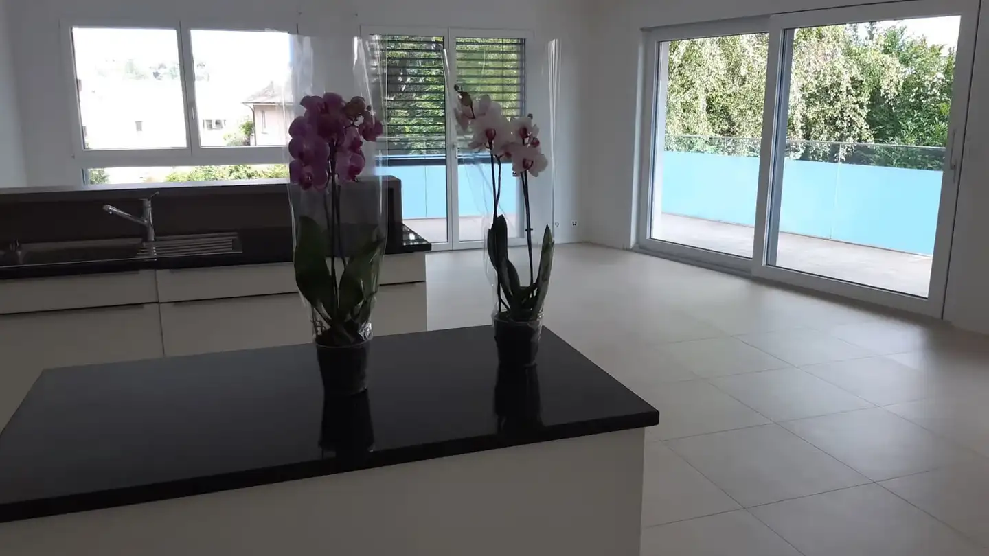 Appartamento in affitto - Avenue De La Sallaz 40, 1010 Lausanne - Foto 2