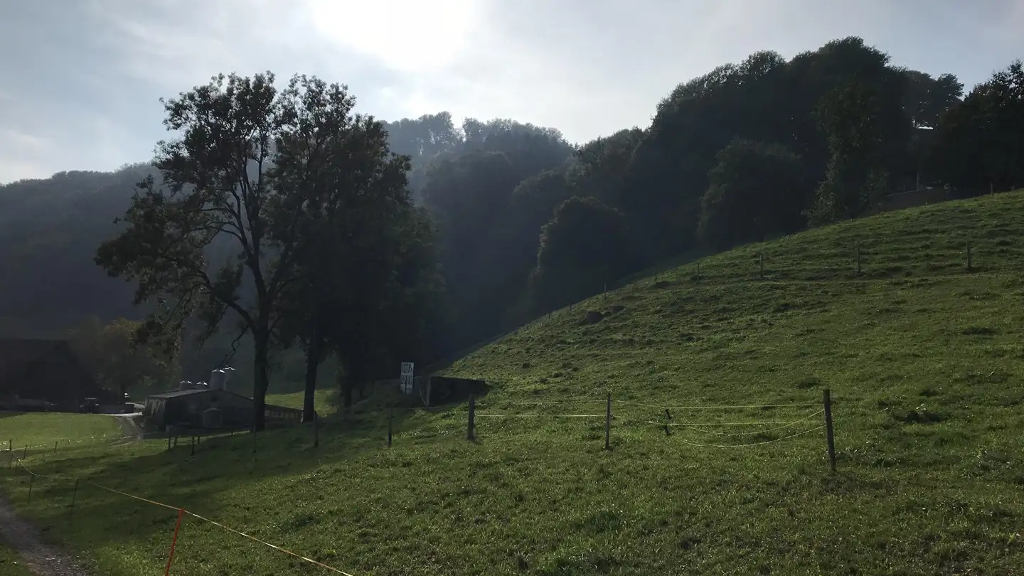 Casa singola in vendita - Hübeli, 6143 Ohmstal - Photo 4