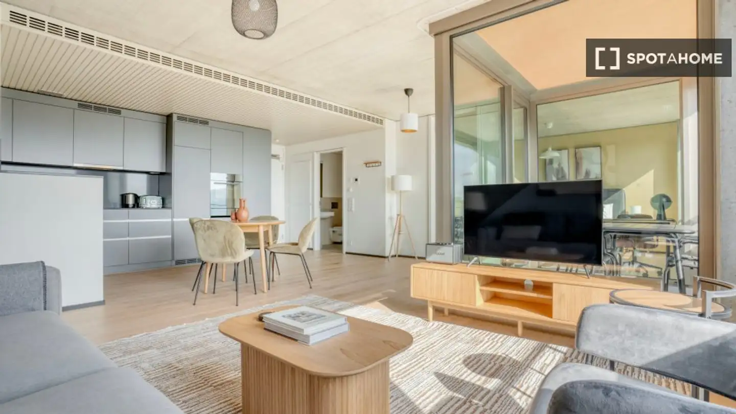 Appartement à louer - 8050 Zürich