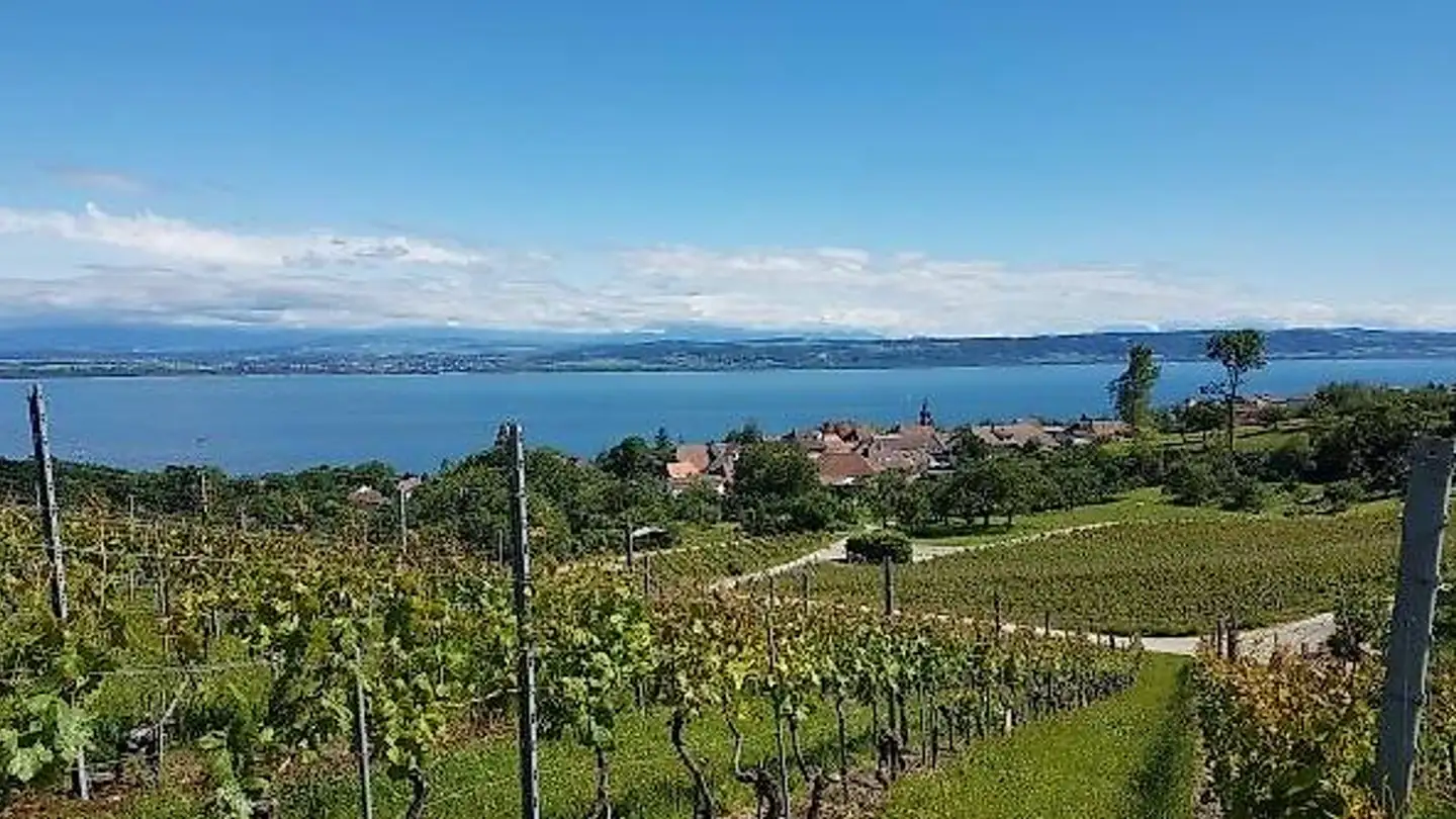 Casa singola in vendita - 2000 Neuchâtel