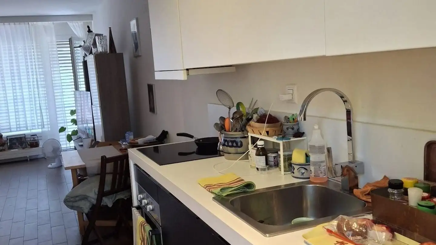 Appartement à louer - Via Pedemonte, 6962 Viganello