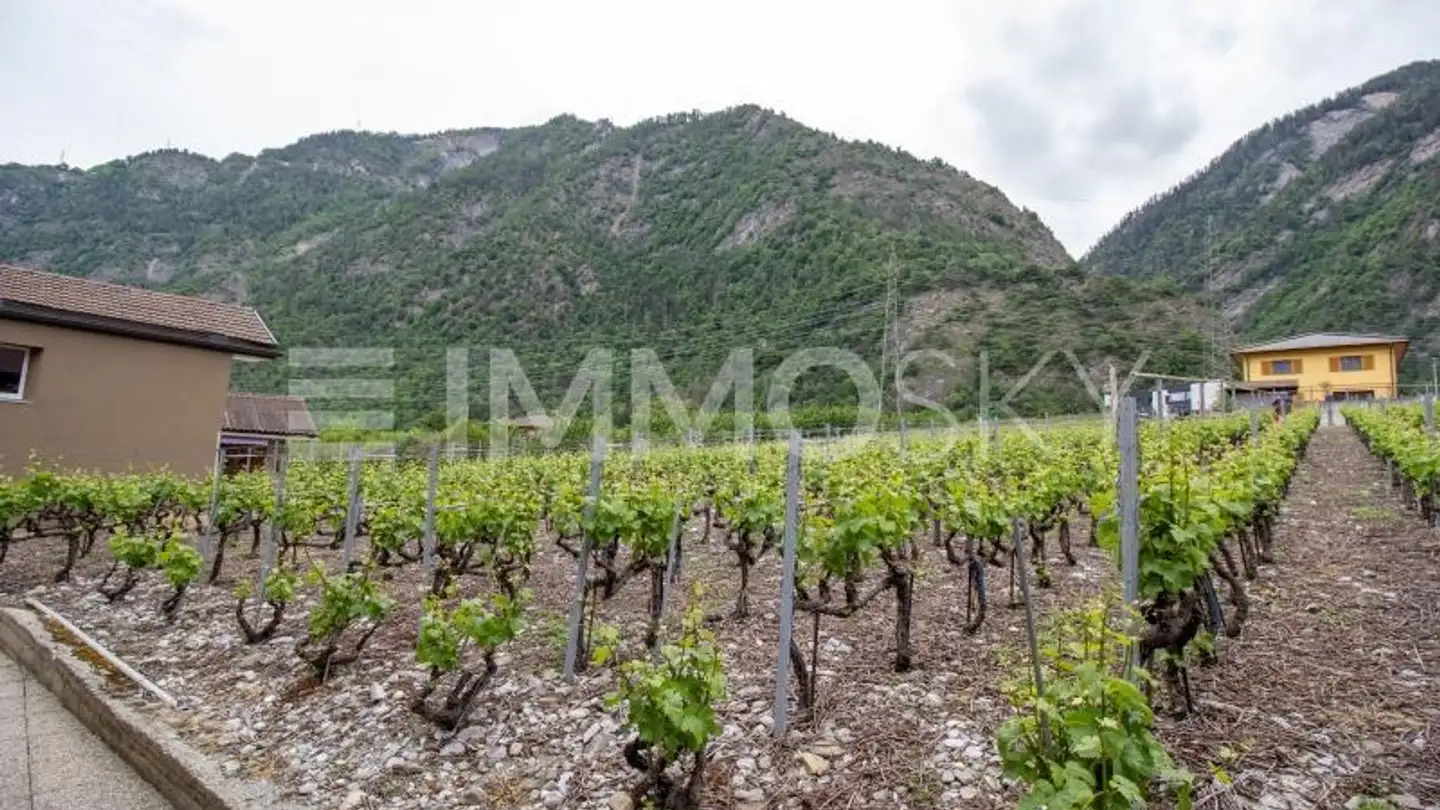 Constructible plot for sale - 1908 Riddes