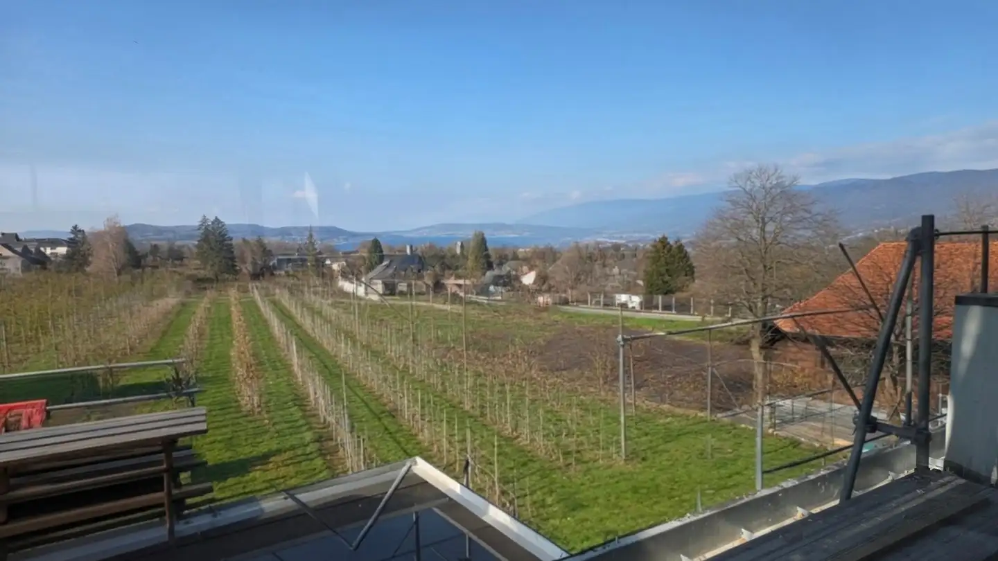 Penthouse mieten - Frenschenbergstrasse 6, 2575 Gerolfingen