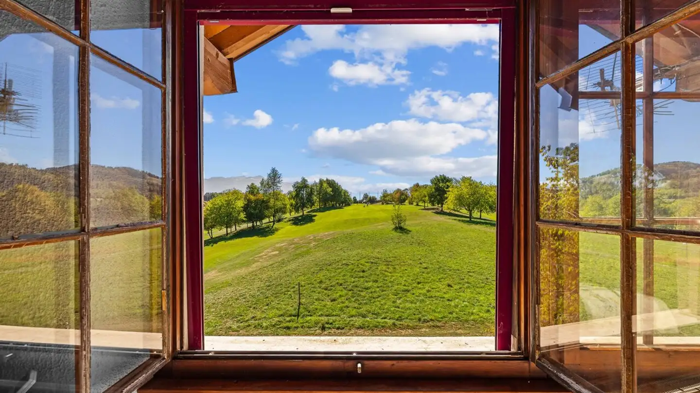 Cave house for sale - Chemin Du Lac De Bret, 1070 Puidoux - Photo 4