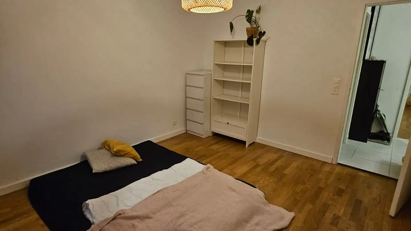 Zimmer mieten - Schaufelbergerstrasse 65, 8055 Zürich - Foto 4