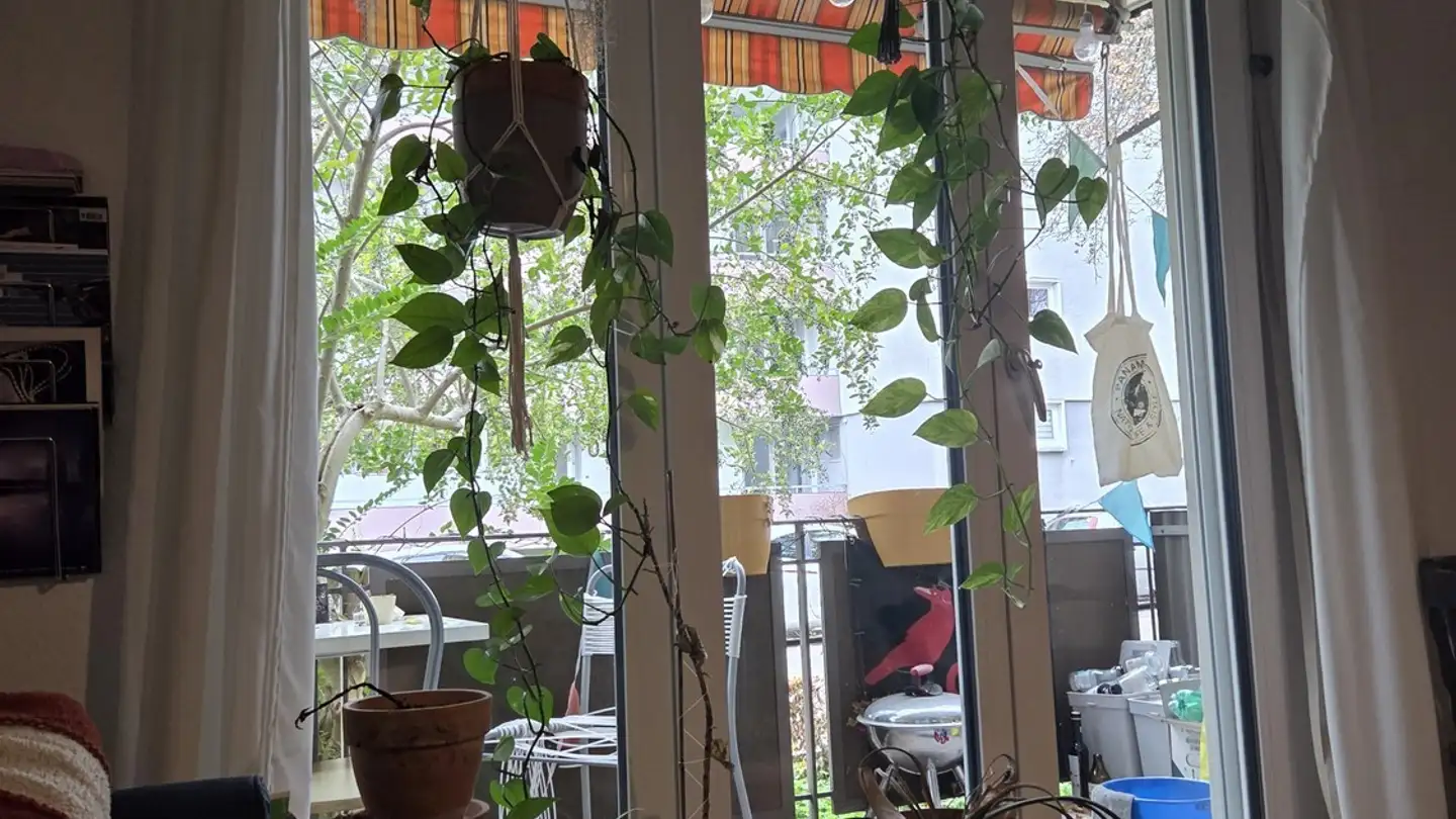 Zimmer mieten - Schaufelbergerstrasse 65, 8055 Zürich - Foto 2