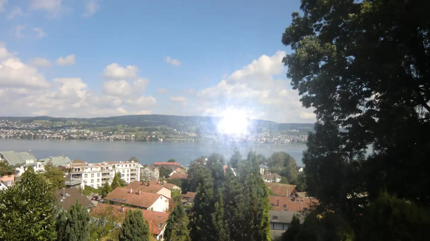 Single house for rent - Allmendhölzliweg 12, 8810 Horgen - Photo 4
