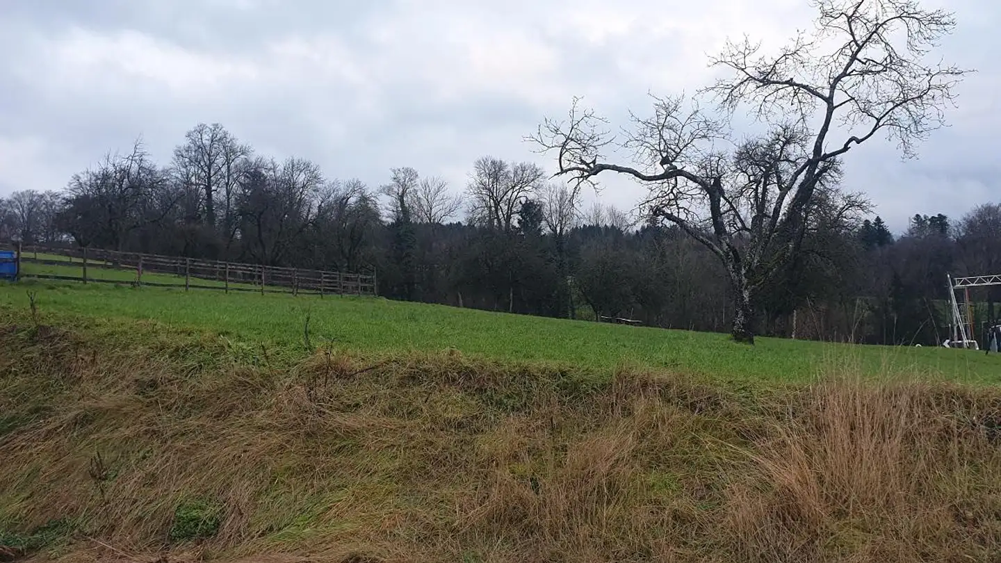 Einfamilienhaus kaufen - Lielistrasse, 6284 Sulz LU - Foto 2