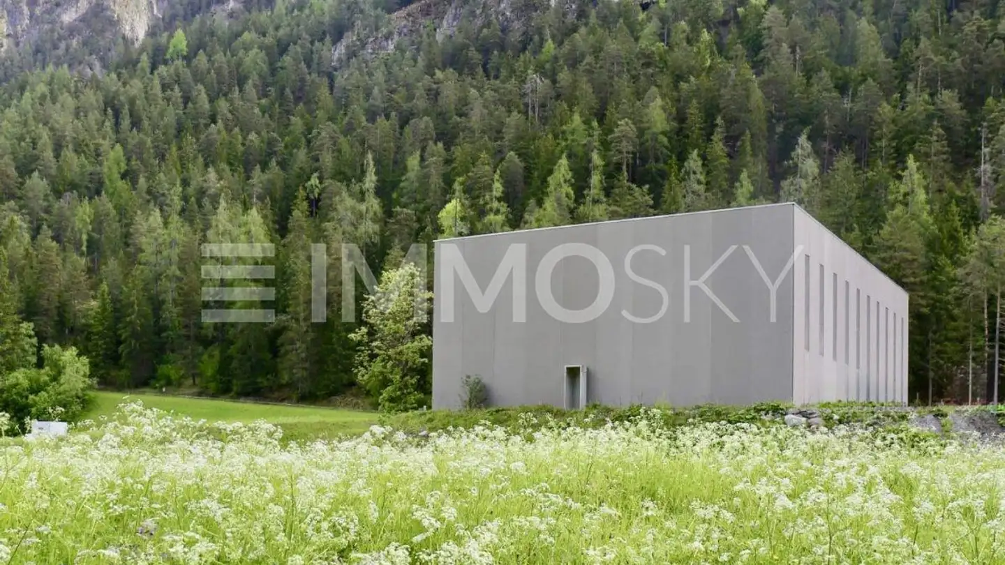 Commercial à vendre - 7477 Filisur - Photo 2